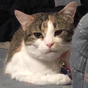 Meet your Posher, John